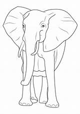 Elefanti Stampare Elefante Pianetabambini Disegno Singolarmente sketch template