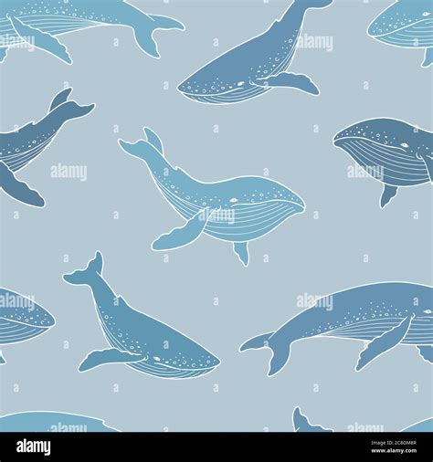 blue whale stock vector images alamy