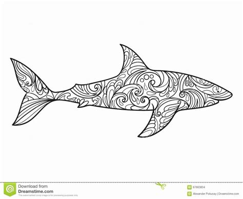 pin  shark