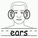 Clip Ears Coloring Body Clipart Ear Two Pages Parts Outline Elf Part Diagram Neck Cliparts Color Template Clipartbest Printable Listening sketch template