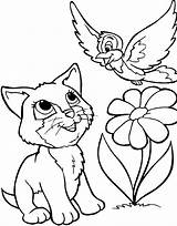 Coloring Pages Animal sketch template