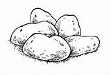 Potatoes Potato Sketch Coloring Sketches Mashed Paintingvalley Clipart sketch template