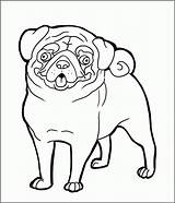 Coloring Pug Puppy Clipart Pages Christmas Library Kids sketch template