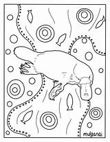 Platypus Colouring sketch template
