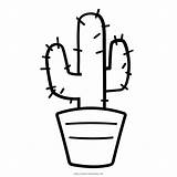 Cactus Cactos Cacto Colorare Pintar Disegno Flor Facili Ultracoloringpages Suculentas Macetas Mosaicos Riscos Cacti Succulents Noun Geometrico sketch template
