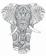 Coloring Pages Elephant Printable Complex Mandala Animal Adults Head Adult Getcolorings Color Elephants Getdrawings Colorings El sketch template