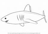 Shark Salmon Draw Drawing Step Sharks Animals Tutorials Drawingtutorials101 sketch template