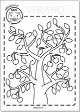 Ficha Educaplanet Colorea Fichas Frutos árbol Estaciones Gratis Proponemos sketch template