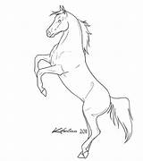 Horse Rearing Coloring Pages Drawings Sketch Lineart Outline Deviantart Pencil Drawing Arabian Animals Horses Stallion Color Mustang Printable Print Step sketch template