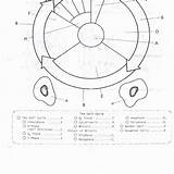 Cycle Cell Worksheet Drawing Coloring Answer Key Paintingvalley Getdrawings sketch template