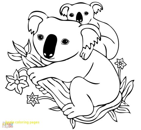 coloriages  imprimer koala numero fc