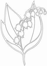 Lily Valley Coloring Pages sketch template