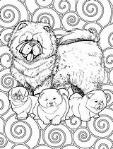 Chow Chows Chien Perros Blanket Termo Mandalas sketch template