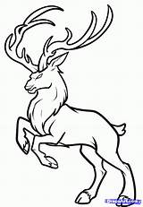 Deer Coloring Pages Baby Buck Drawing Reindeer Realistic Draw Stag Simple Drawings Mule Clipart Easy Dragoart Test Library Gif Print sketch template