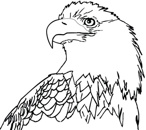 philadelphia eagles coloring pages printable  getcoloringscom