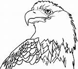 Eagle Coloring Bald Pages Eagles Printable Drawing Cartoon Realistic Clipart Line Philadelphia Color Book Cliparts Colouring Az Print Football Board sketch template