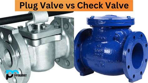 plug valve  check valve whats  difference
