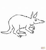 Coloring Pages Aardvark Springbok Africa Print Color Getcolorings Awesome sketch template