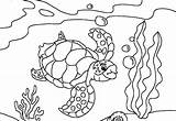 Coloring Sea Pages Under Drawing Getcolorings Getdrawings sketch template