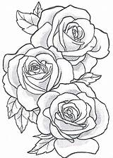 Rose Outline Tattoo Drawing Flower Stencil Drawings Jk sketch template