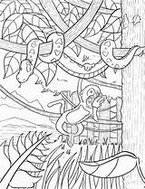 Rainforest Coloring Pages Adult sketch template