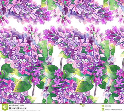 lilac pattern stock illustration illustration  garden