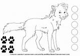 Ref Lineart Canine Deviantart sketch template