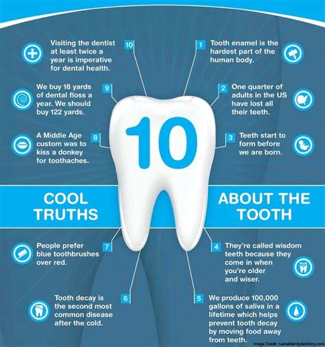 important dental care tips   lifetime  healthy teeth dental