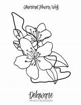 Coloring State Delaware Flowers sketch template
