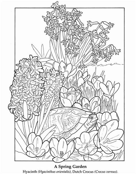 flower garden coloring pages printable awesome  flower garden