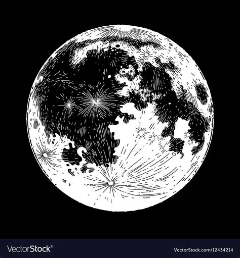 graphic full moon royalty  vector image vectorstock
