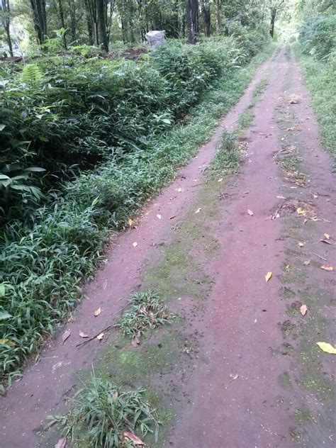 jual tanah sawah  ds linggarjati kec cilimus kab