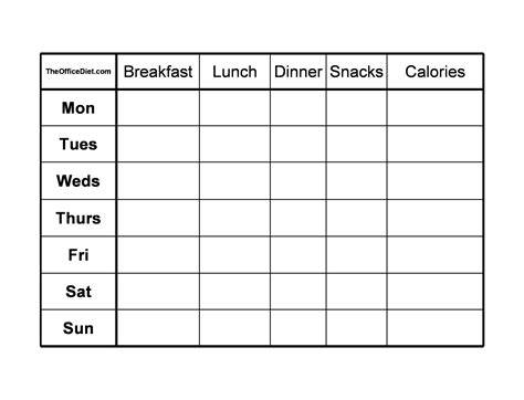 simple food diary templates food log examples