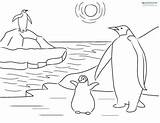 Coloring Penguin Antarctica Printable Sheets Kids Pages Penguins Facts Continent Printables Template sketch template