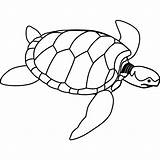 Turtle Outline Clip Clipart Svg Px sketch template