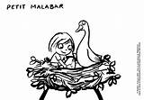 Coloriages Malabar sketch template