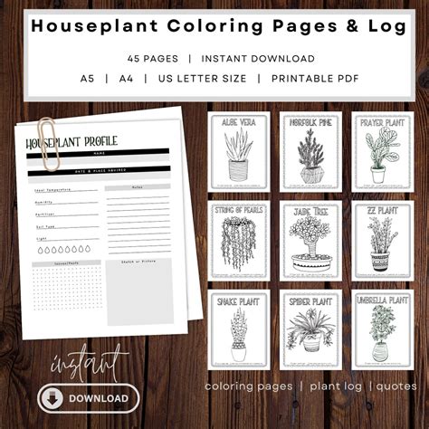 houseplant coloring book coloring pages printable coloring etsy
