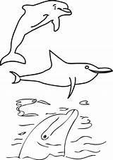Dolphin Coloring Wecoloringpage sketch template
