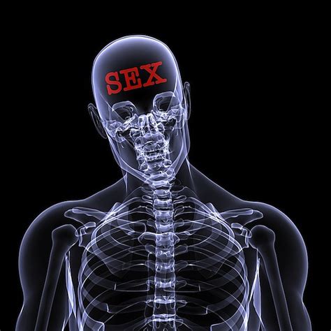how many times a day does the average guy think about sex