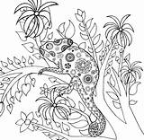 Camaleonte Gullig Kameleont Kameleon Chameleon Illustratie Illustrationer Dier sketch template