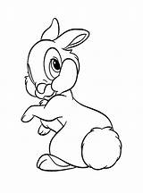Hasen Kaninchen Hase Malvorlagen sketch template