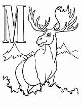 Coloring Pages Moose Printable Kids Print Hunting Antler Drawing Elk Getdrawings Outline sketch template
