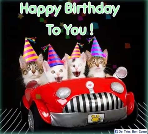 Cats Singing Happy Birthday Ecard Cat Meme Stock Pictures And Photos