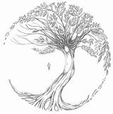 Tree Life Drawing Simple Drawings Tattoo Paintingvalley Stencils sketch template