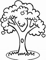 Outline Tree Clipart Printable Library Apple sketch template