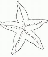 Starfish Estrellas Ballenas sketch template