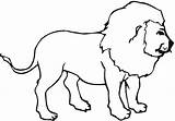 Lion Outline Clipart Coloring Lions Drawing Pages Outlines Cliparts Clip Super Print Arts Kids Clker Clipartbest Library Use Large Rating sketch template