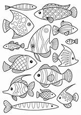 Fishes Ryby Druku Kolorowanki Kolorowanka Rybek Antistress Zestaw Drukowania Planetadziecka Drawings sketch template