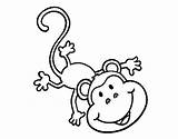 Monkey Coloring Amusing Colorear Coloringcrew Book sketch template