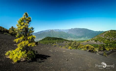 verbrannte erde foto bild europe canary islands die kanaren spain bilder auf fotocommunity